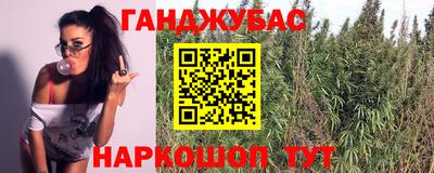 молекула духа Северобайкальск