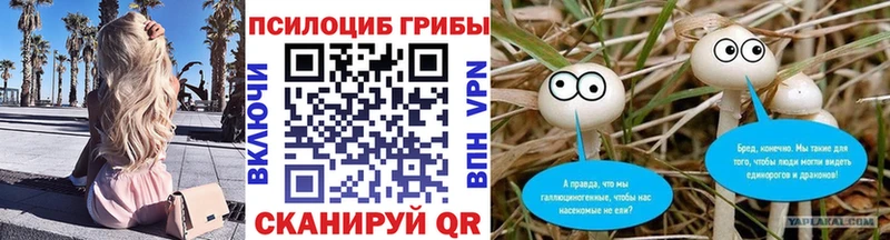 Галлюциногенные грибы Cubensis  наркошоп  Шали 