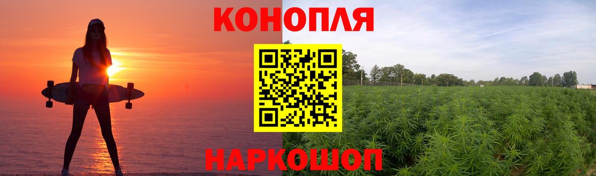 Шали  Бошки Шишки планчик  Шишки марихуана ГИДРОПОН  Вход с VPN  Конопля ГИДРОПОН 